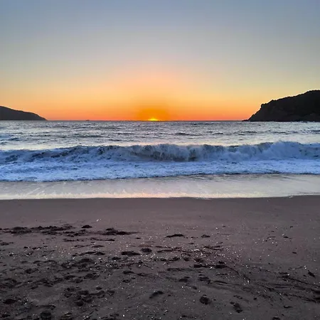 Casa vacanze Maison De Pour 10 Personnes De 4 Front De Corse-du-sud Appietto