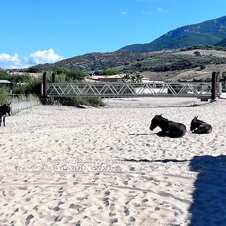 Maison De Pour 10 Personnes De 4 Front De Corse-du-sud