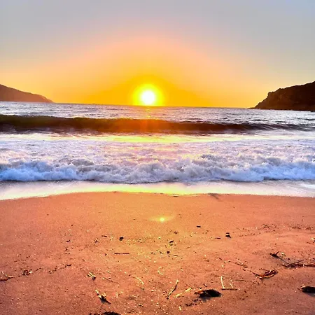 Maison De Pour 10 Personnes De 4 Front De Corse-du-sud Semesterbostad