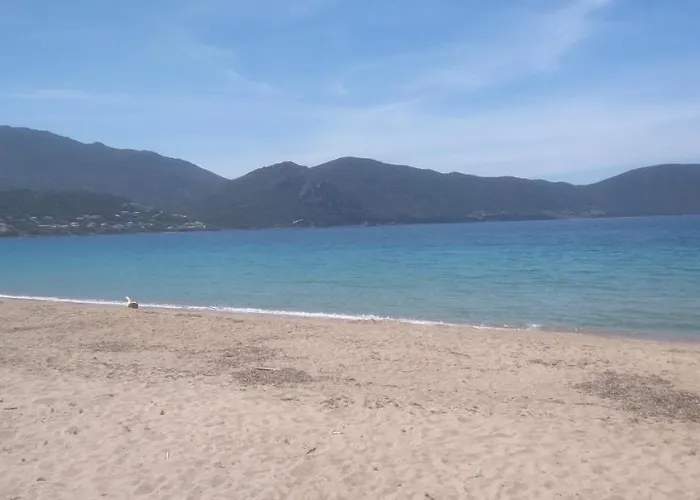 Maison De Pour 10 Personnes De 4 Front De Corse-du-sud *