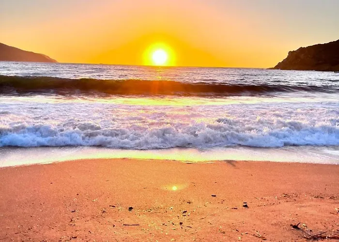 Maison De Pour 10 Personnes De 4 Front De Corse-du-sud Casa de Férias