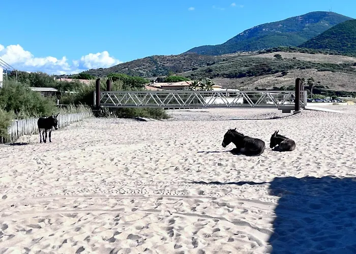 Maison De Pour 10 Personnes De 4 Front De Corse-du-sud